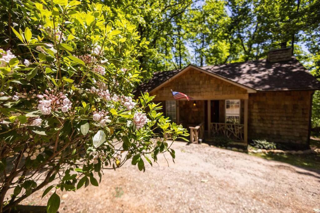 Pet Friendly Luxury Cabin Near Helen With Fire Pit คลีฟแลนด์ ภายนอก รูปภาพ